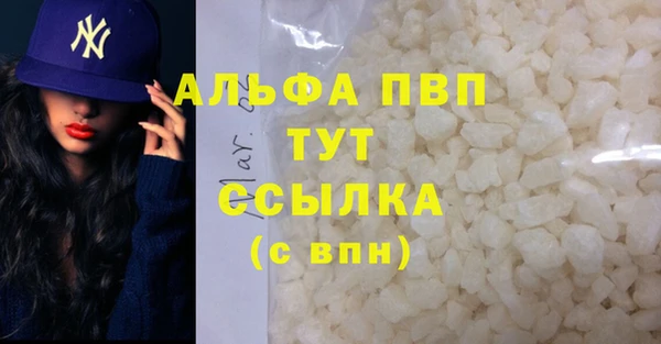 прущие грибы Балабаново