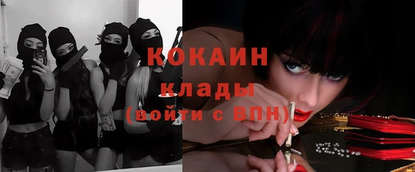 прущие грибы Балабаново