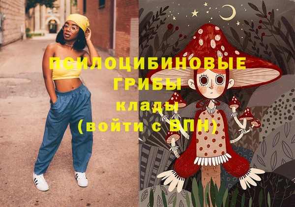 прущие грибы Балабаново