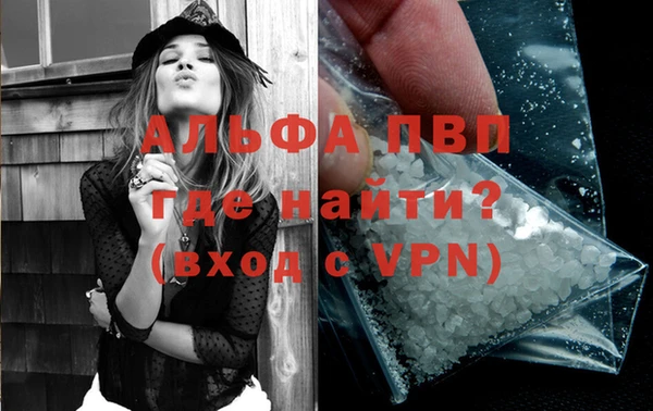 прущие грибы Балабаново