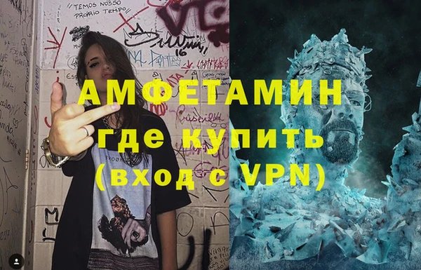 шишки Кодинск