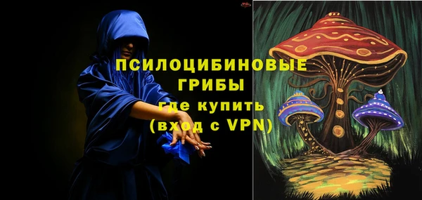 марки nbome Белокуриха