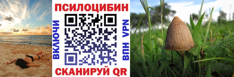 магазин    Кяхта  Галлюциногенные грибы MAGIC MUSHROOMS 