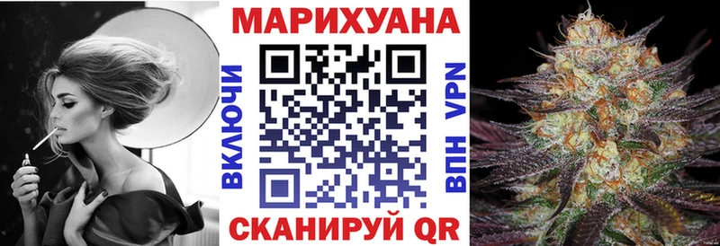 Каннабис план  Кяхта 